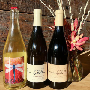 Three bottles of Sinor-LaVallee wine standing on a counter against a weathered wooden wall, with dried flowers in a vase alongside