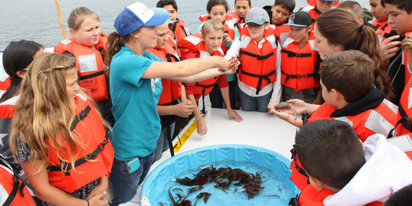 Schoolchildren in orange life jackets aboard a boat, gathered round an instructor holding up a specimen beside a paddling pool of kelp
