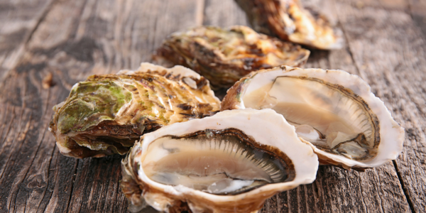 Freshly shucked oysters on the half shell, arranged on a weathered wooden table