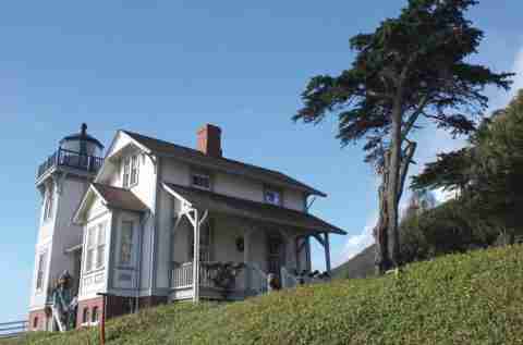 The white Victorian Point San Luis Lighthouse and keeper's house on a green hillside beside a tall Monterey cypress, under a clear blue sky