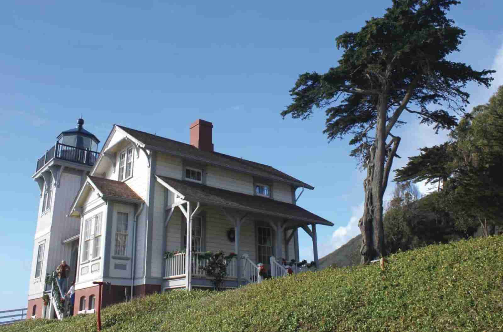 The white Victorian Point San Luis Lighthouse and keeper's house on a green hillside beside a tall Monterey cypress, under a clear blue sky